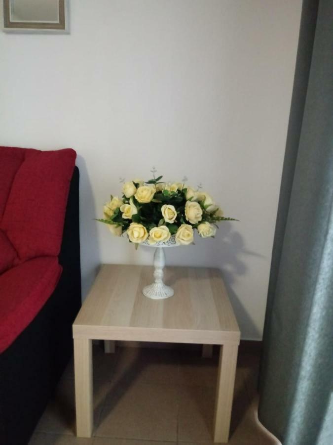 Apartamento Bediesta ซานตาครูซเดลาปัลมา ภายนอก รูปภาพ