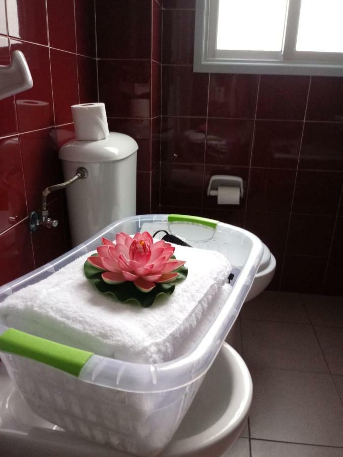Apartamento Bediesta ซานตาครูซเดลาปัลมา ภายนอก รูปภาพ