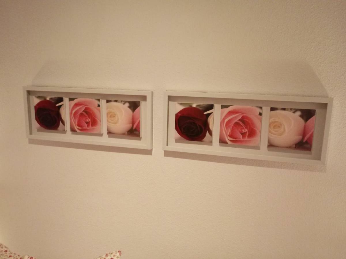 Apartamento Bediesta ซานตาครูซเดลาปัลมา ภายนอก รูปภาพ